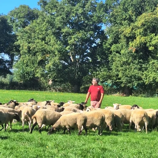 68d3f6fe1b89a52be5ec6048_Ferme-de-gigoux