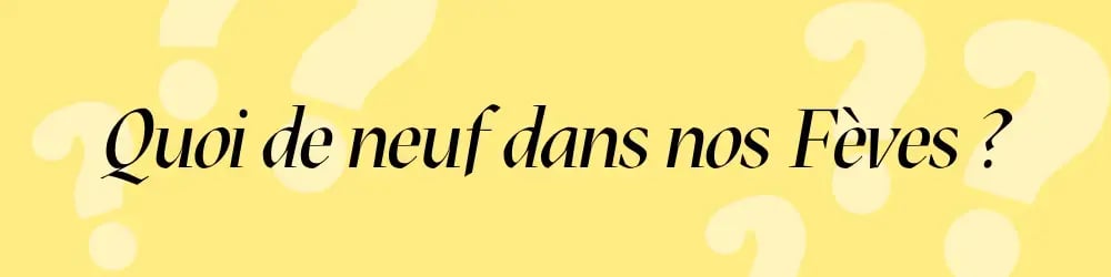 Bandeau titre (3)