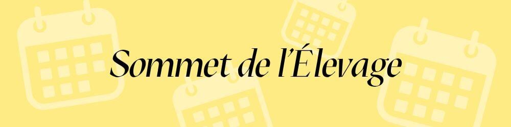 Bandeau titre (39)