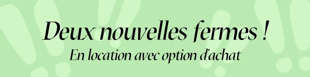 Bandeau titre-4