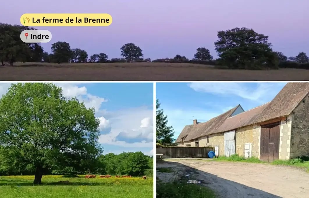 Brenne