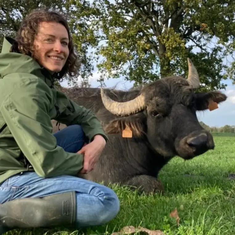 Capture d’écran 2024-06-13 à 18.03.34