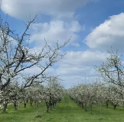 Capture d’écran 2025-04-16 à 10.42.41