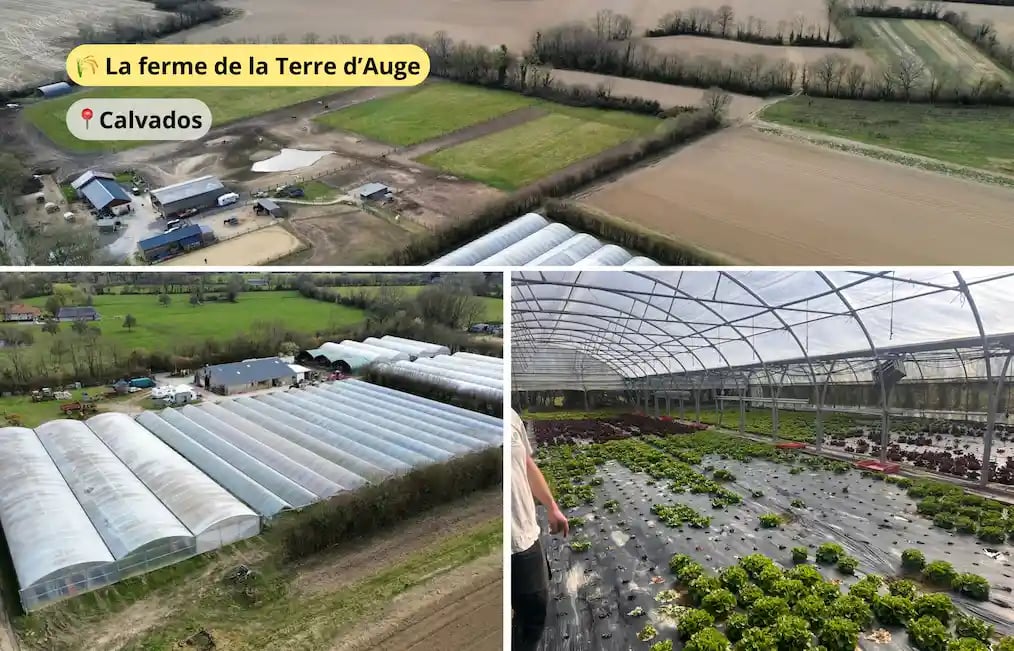Capture d’écran 2025-04-29 à 15.44.25