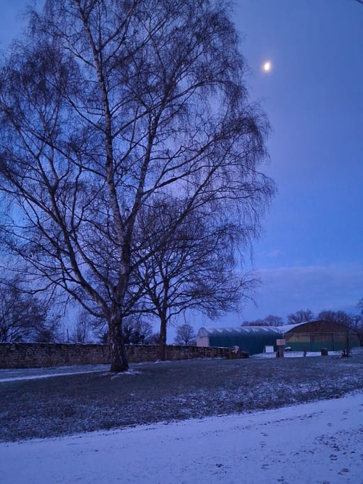 Design sans titre-Jan-07-2026-01-48-48-5036-PM