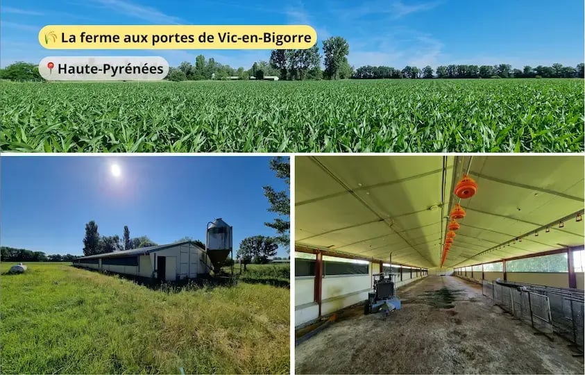 La ferme aux portes de Vic-en-Bigorre
