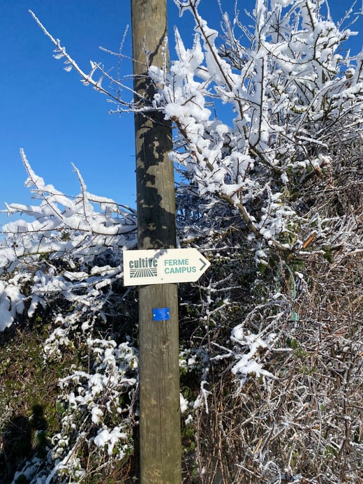 WhatsApp Image 2026-01-06 at 15.03.17