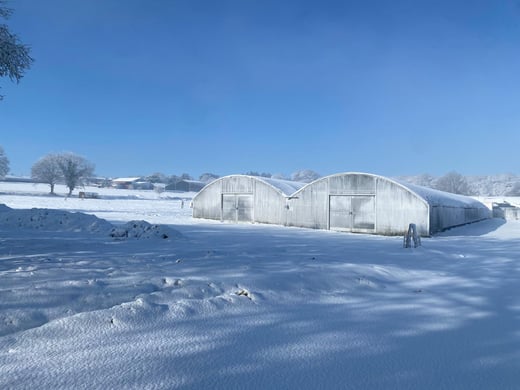 WhatsApp Image 2026-01-06 at 15.03.19