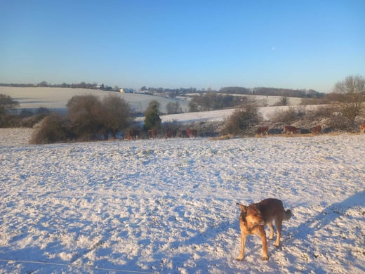 WhatsApp Image 2026-01-06 at 16.41.04