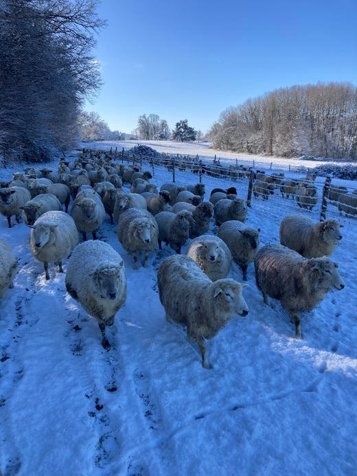 WhatsApp Image 2026-01-06 at 16.54.55