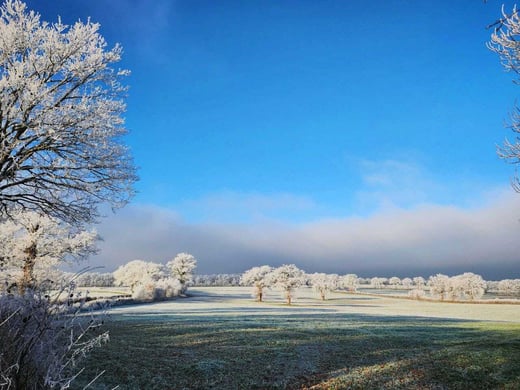 WhatsApp Image 2026-01-07 at 07.39.02 (2)