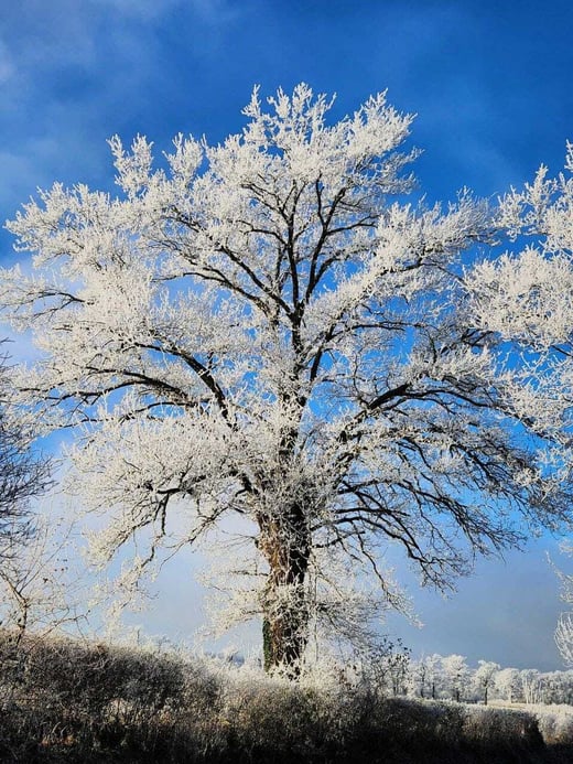 WhatsApp Image 2026-01-07 at 07.39.02