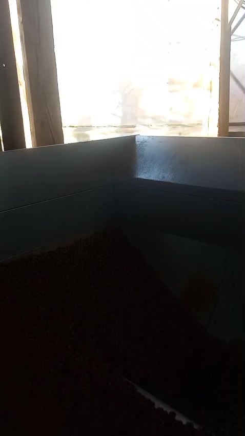 WhatsApp Video 2025-02-18 at 15.24.38