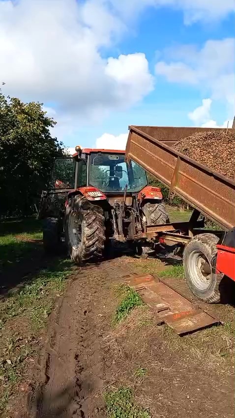 WhatsApp Video 2025-02-18 at 15.26.14