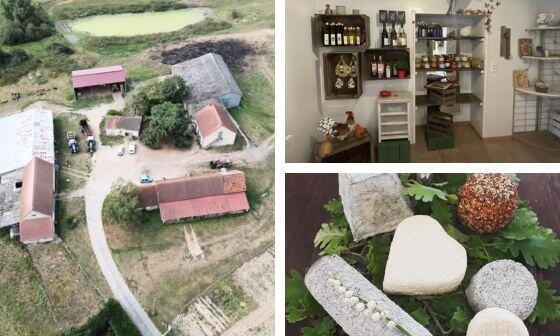 montage photo nouvelle ferme newsletter (3)