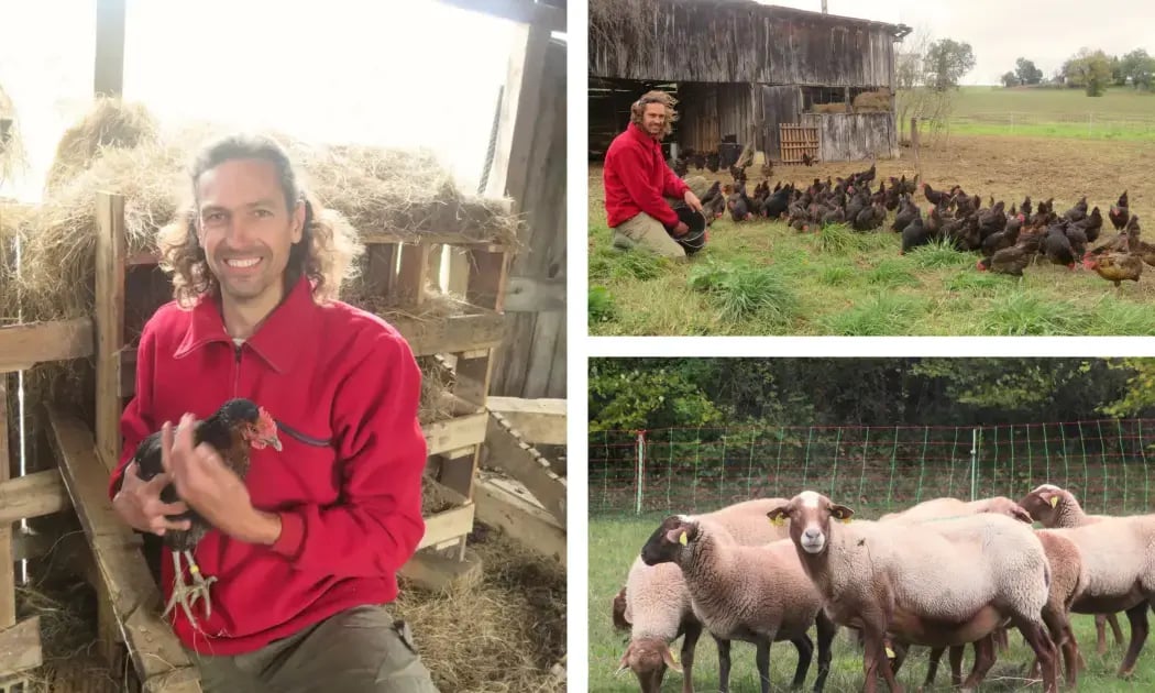 montage photo nouvelle ferme newsletter (3)