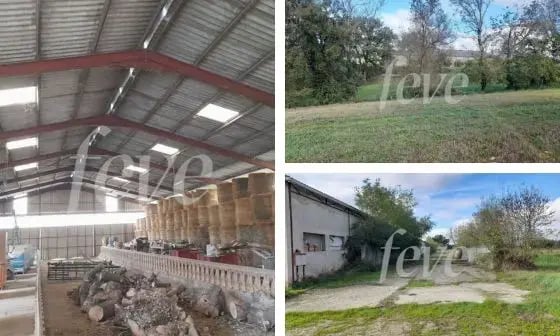 montage photo nouvelle ferme newsletter (4)