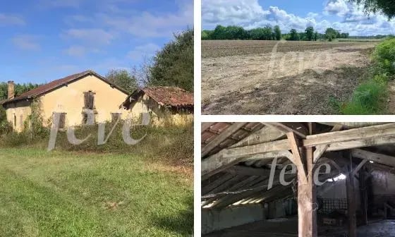 montage photo nouvelle ferme newsletter (5)