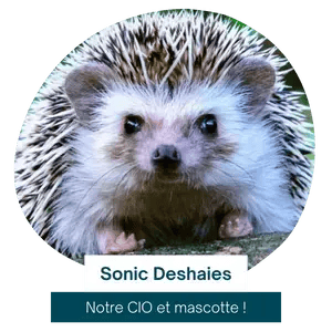 photo équipe (1)-1